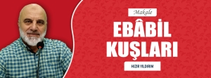 EBÂBİL KUŞLARI