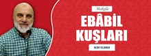 EBÂBİL KUŞLARI
