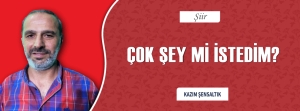 ÇOK ŞEY Mİ İSTEDİM?